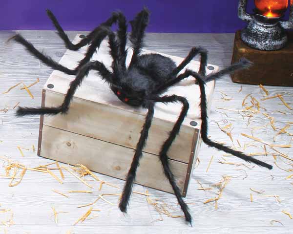 Spider Package (Large)