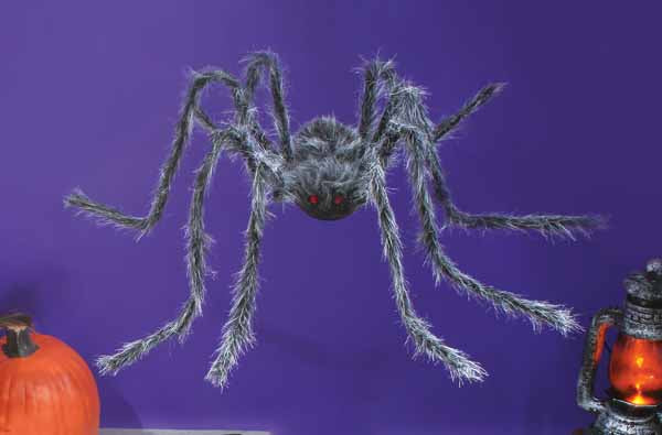 Spider Package (Large)