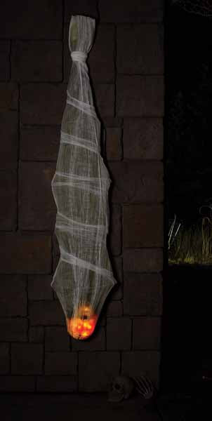 Spider Package (Large)