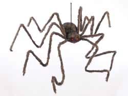 Spider Package (Large)