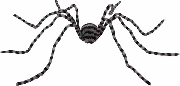 Spider Package (Large)