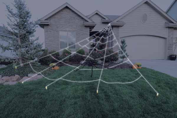 Spider Package (Large)