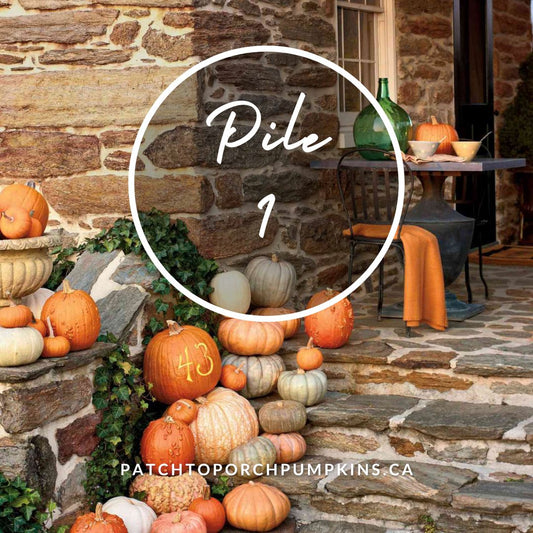 Pile 1 (26 Pumpkins)