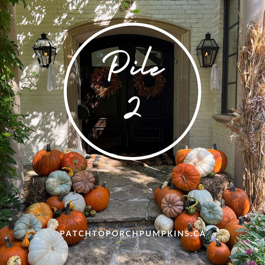 Pile 2 (40 Pumpkins)