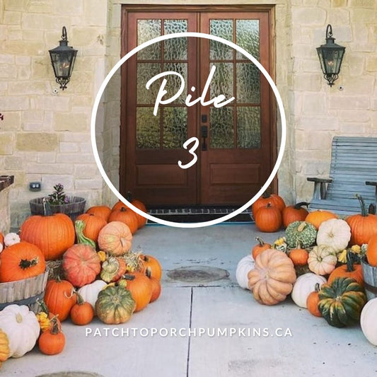 Pile 3 (52 Pumpkins)